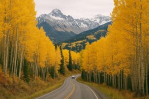Road Trip Ideas: US Drives by Region, Season and Traveler